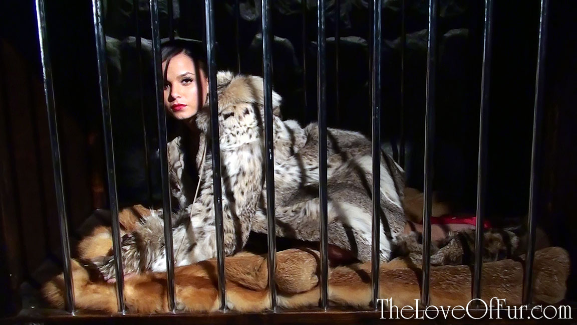 Sasha in lynx fur jacket is locked in a cage