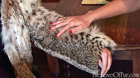 Love of fur red nails hand stroke lynx fur sleeve
