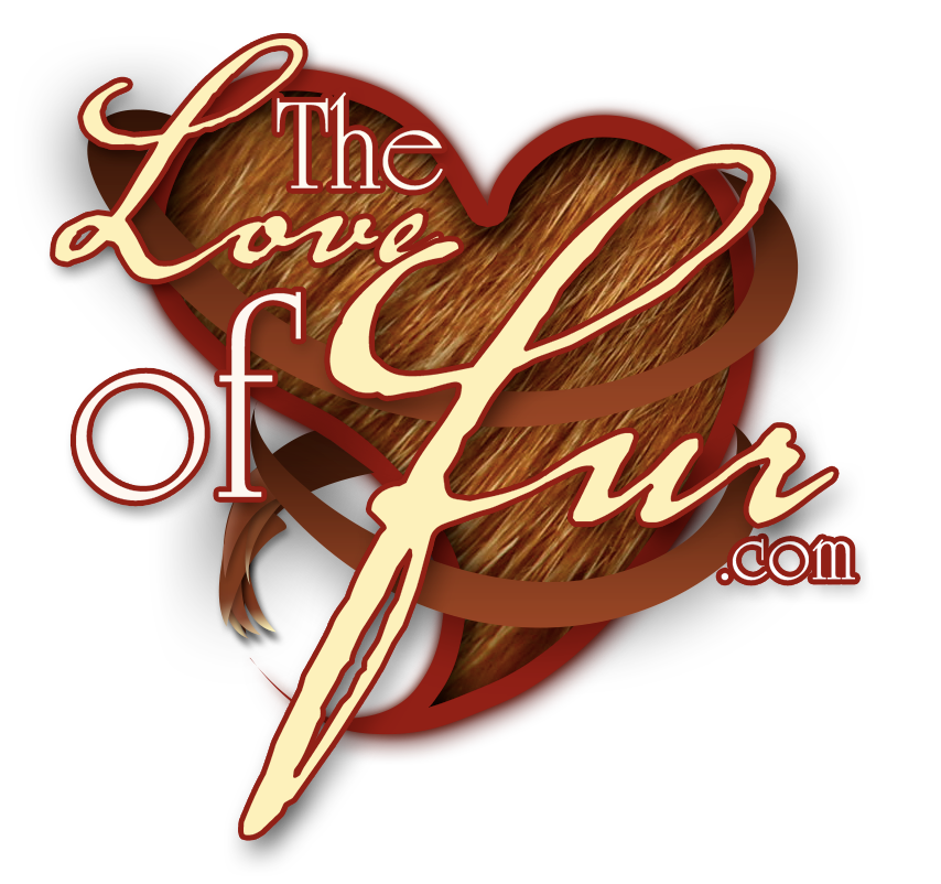 The Love Of Fur - fur fetish videos